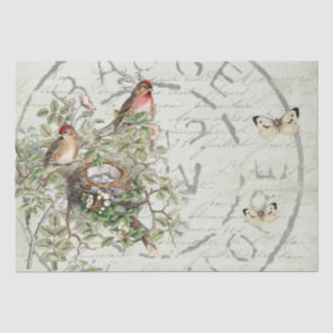 Bird Nest Postmark Butterfly Französisch Skript Gr Seidenpapier