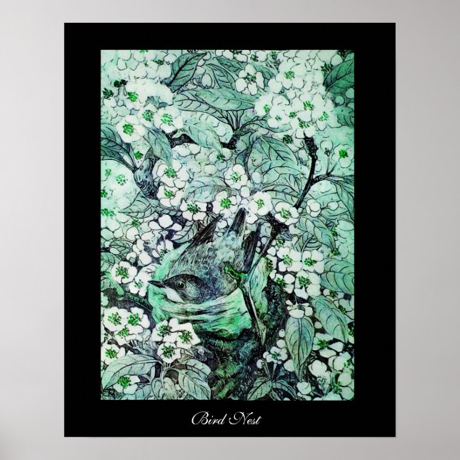 BIRD NEST, weiß grün, schwarz Poster (Vorne)
