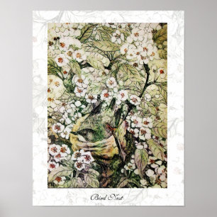 BIRD NEST, weißbraun, gelb Poster