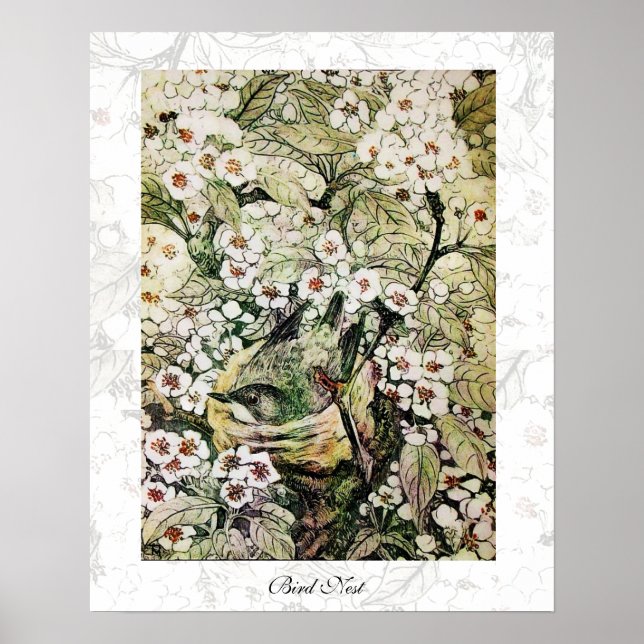 BIRD NEST, weißbraun, gelb Poster (Vorne)