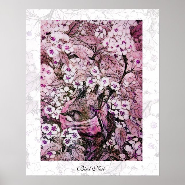 BIRD NEST, weißer rosa Veilchen Poster (Vorne)