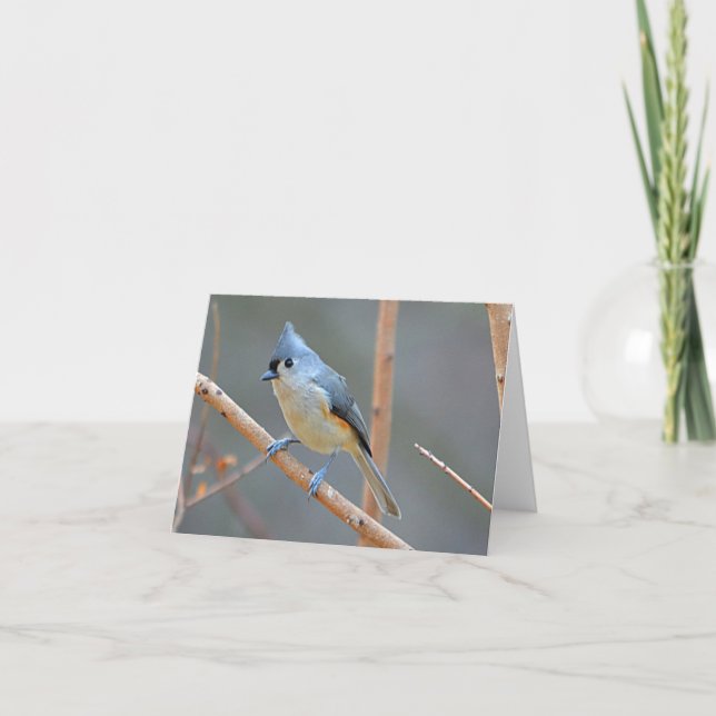 Bird Notecard Feiertagskarte (Vorderseite)