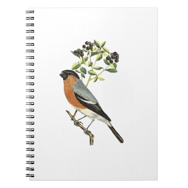 Bird Notizblock (Vorderseite)