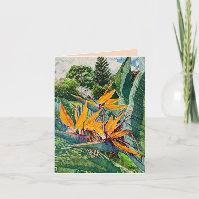 Bird of Paradise (Vorderseite)