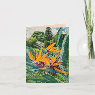 Bird of Paradise