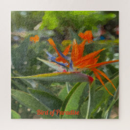 Bird of Paradise Oil Painting