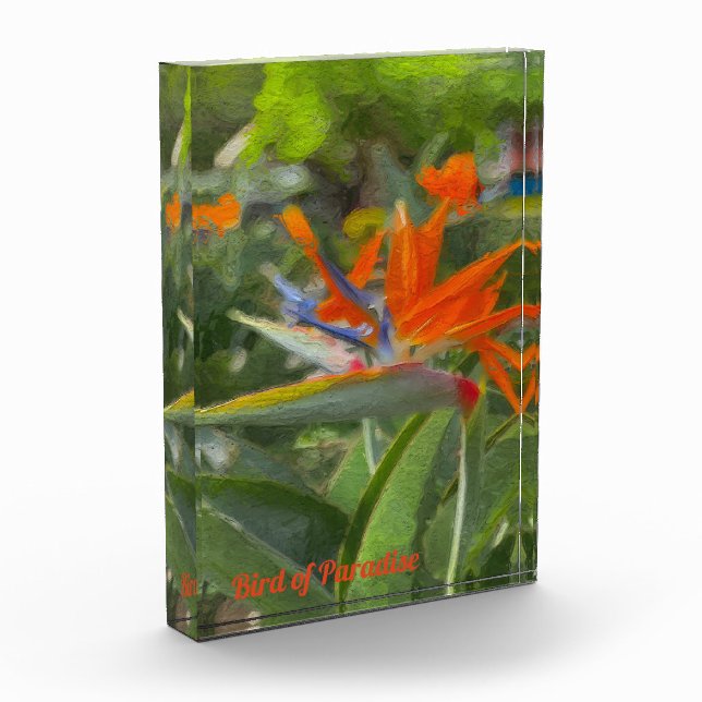 Bird of Paradise Oil Painting Fotoblock (Links)