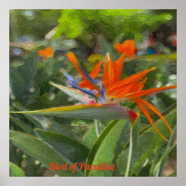 Bird of Paradise Oil Painting Poster (Vorne)