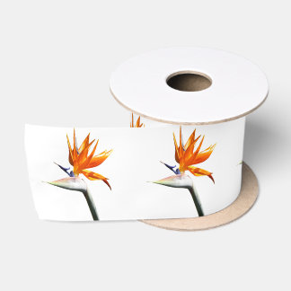 Bird of Paradise Orange Tropical Flower Satinband