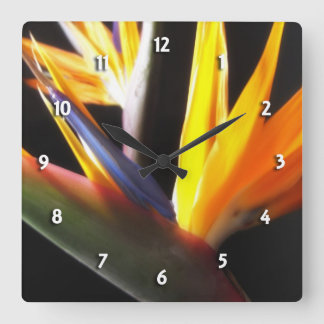 Bird of Paradise Round Clock Quadratische Wanduhr