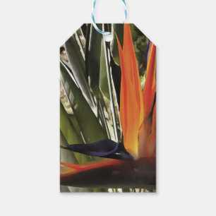 Bird of Paradise Strelitzia Reginae Acrylic Painti Geschenkanhänger