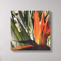 Bird of Paradise Strelitzia Reginae Acrylic Painti