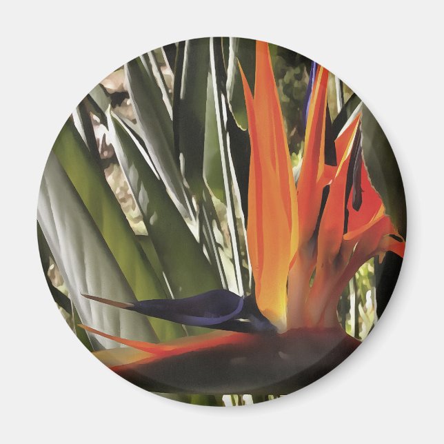 Bird of Paradise Strelitzia Reginae Acrylic Painti Magnet (Vorne)