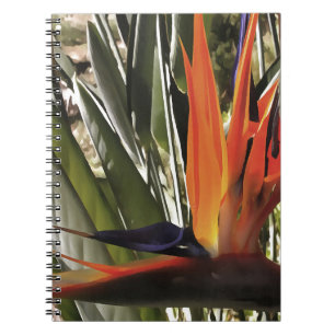 Bird of Paradise Strelitzia Reginae Acrylic Painti Notizblock