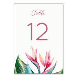 Bird of Paradise Tischnummer Cards
