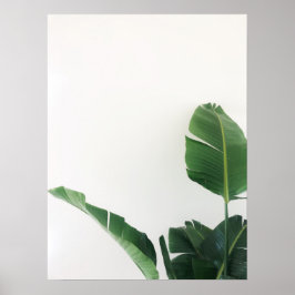 Bird of Paradise Tropical Pflanze Fotografy Poster