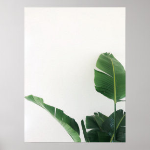Bird of Paradise Tropical Pflanze Fotografy Poster