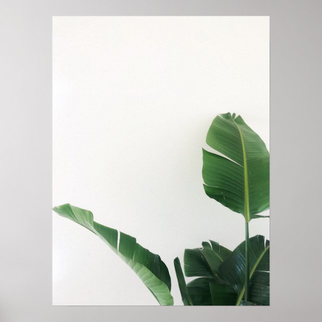 Bird of Paradise Tropical Pflanze Fotografy Poster (Vorne)