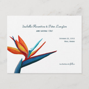 Bird of Paradise Watercolor Save the Date Card