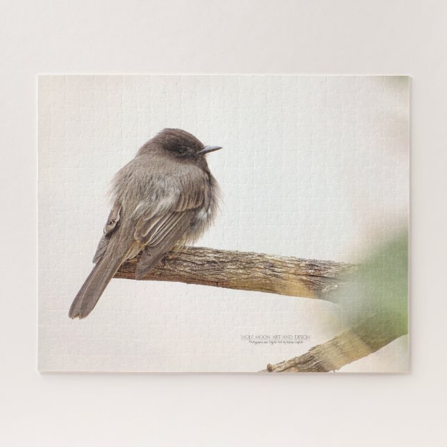 Bird On Branch Young Junvenile Black Phoebe Jigsaw (Horizontal)