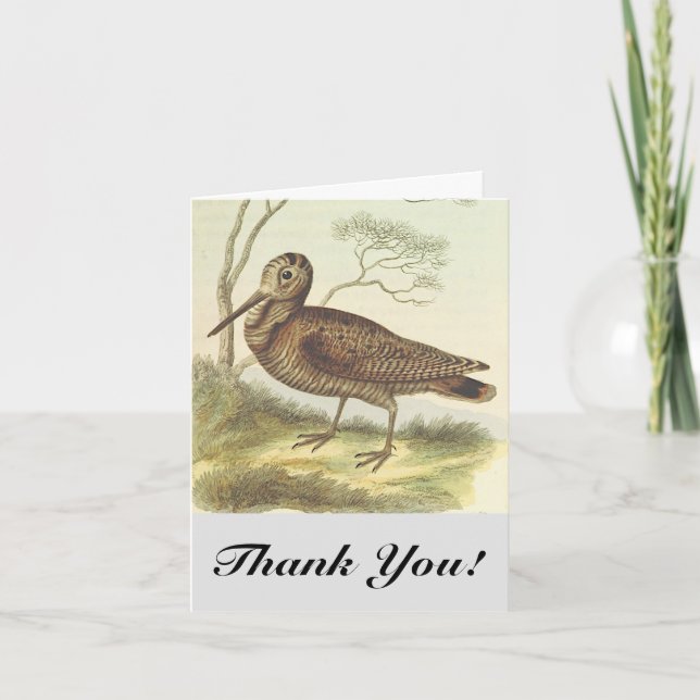 Bird on Ground, "Danke!", Vintager Blick Karte (Vorderseite)