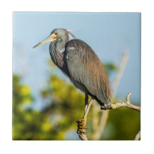 Bird Perfect Keramik Tile Art