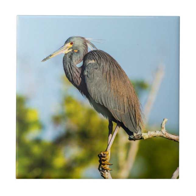 Bird Perfect Keramik Tile Art Fliese (Vorderseite)