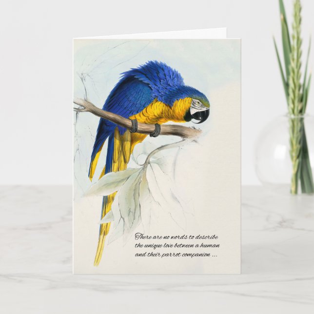Bird Pet Beileid Blue und Gold Macaw Parrot Karte (Vorderseite)