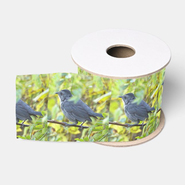  Bird Photo Ribbon Ripsband (Spule)
