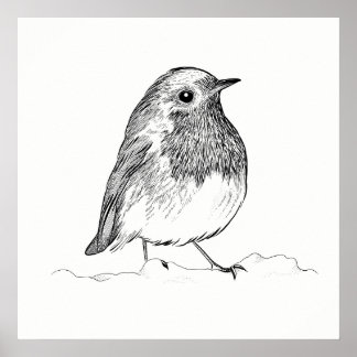 Bird Poster / Wall Art Robin