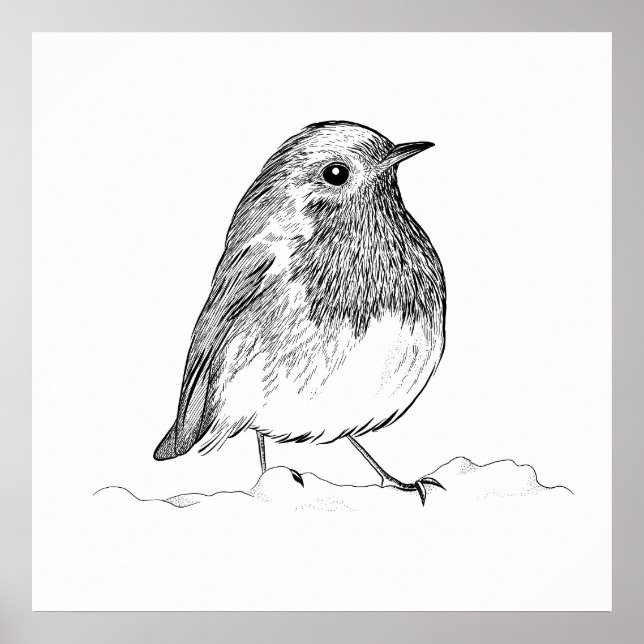 Bird Poster / Wall Art Robin (Vorne)