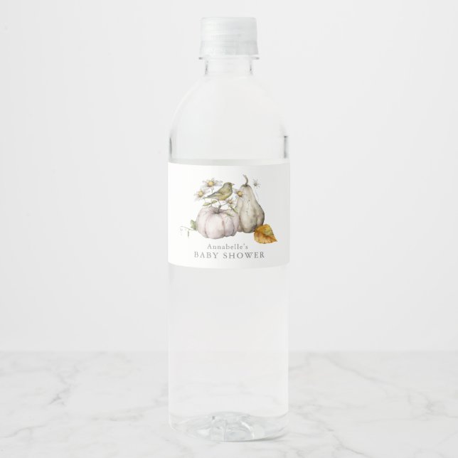 Bird Pumpkin Watercolor Babydusche (Vorderseite)