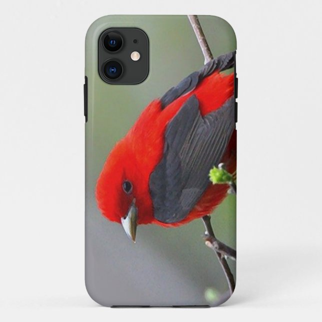 Bird red_iphone Case-Mate iPhone hülle (Rückseite)