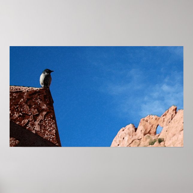 Bird & Rock Poster (Vorne)