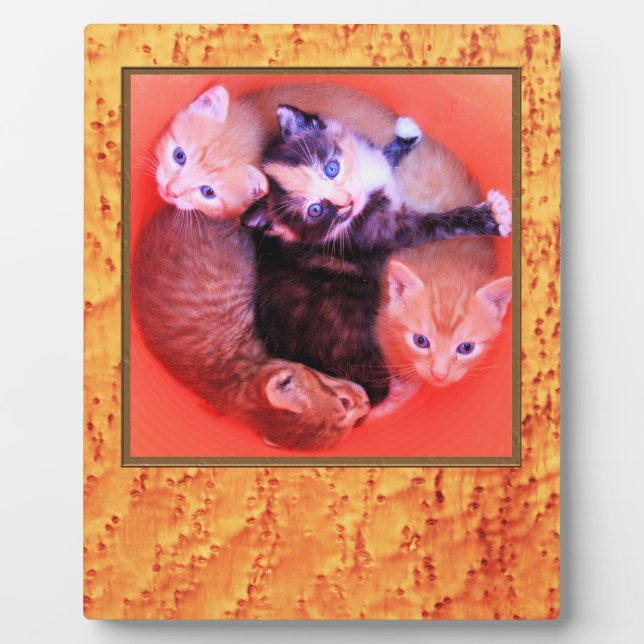 Bird’s Eye Maple Wood Grains Pattern Picture Frame Fotoplatte (Vorderseite)