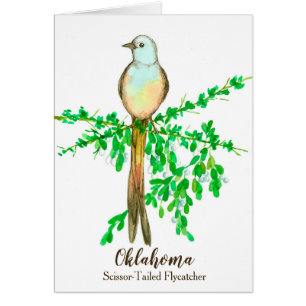 Bird Scissor Flycatcher Mistletoe Blank