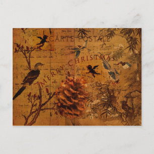 Bird Song Christmas Feiertagspostkarte