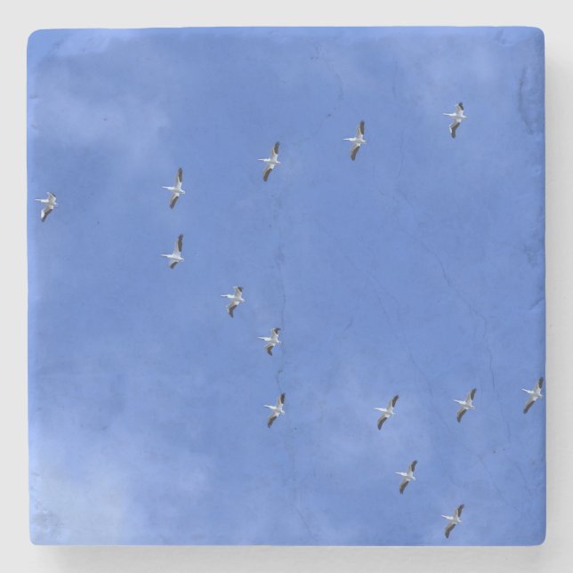 Bird Steinuntersetzer (Vorderseite)