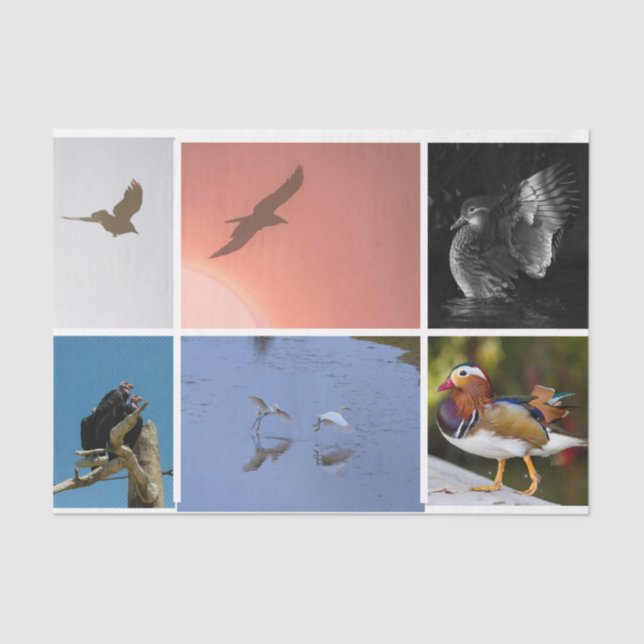 Bird Theme Crow Duck Condor Egret Mixed Media Seidenpapier (Vorderseite)