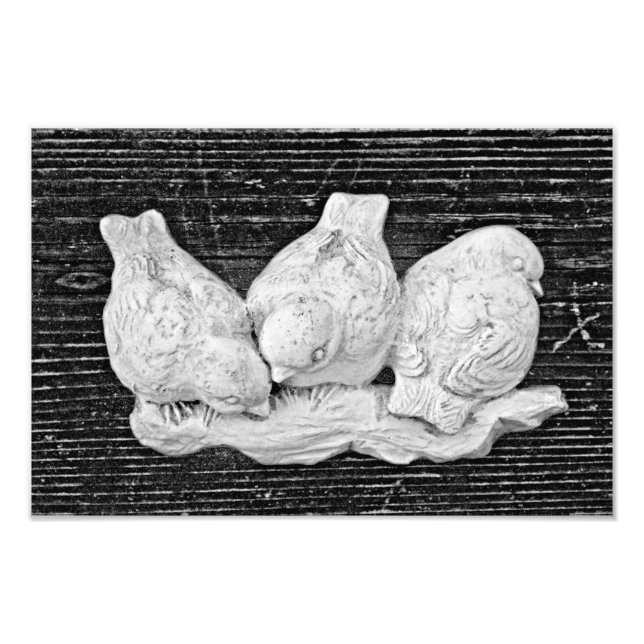 Bird Trio Fotodruck (Vorne)