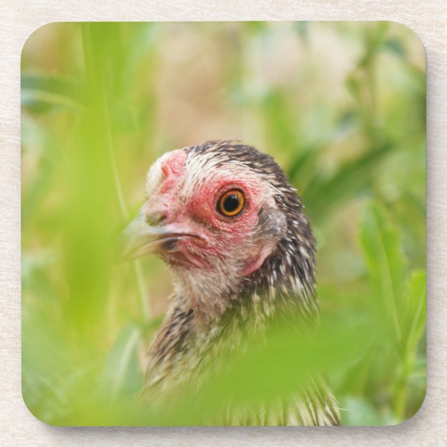 Bird Untersetzer (Vorderseite)