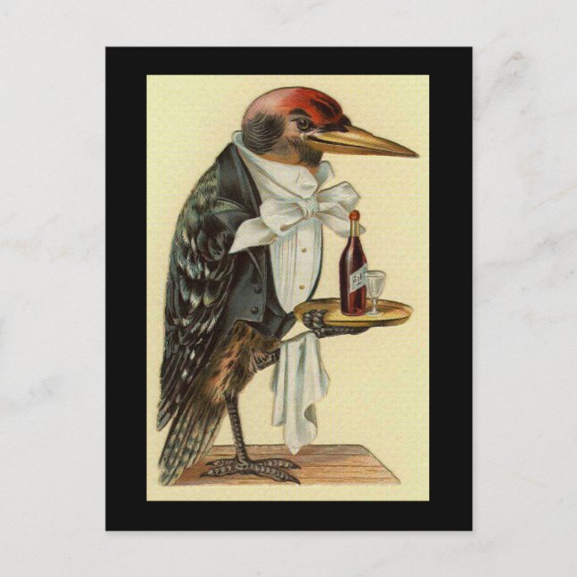 Bird Waiter Postkarte (Vorderseite)