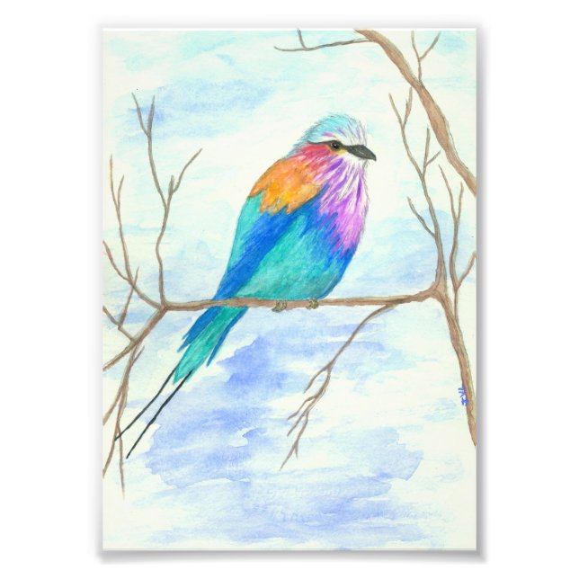 Bird Watercolor Art Lilac Breasted Roller in Tree Fotodruck (Vorne)