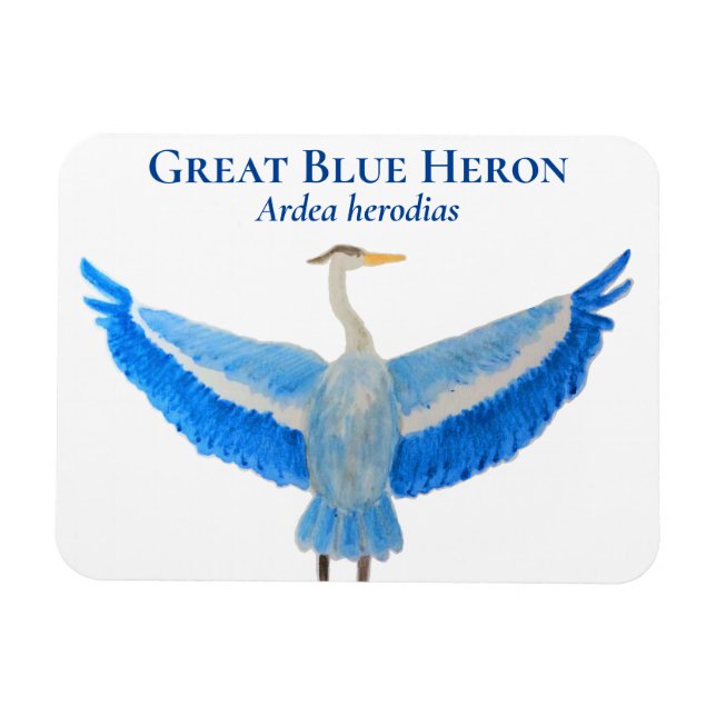 Bird Watercolor Scientific Great Blue Hery Magnet (Horizontal)