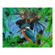 Bird Wildlife Wildrenrenines Poster