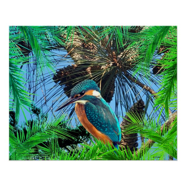 Bird Wildlife Wildrenrenines Poster (Vorderseite)