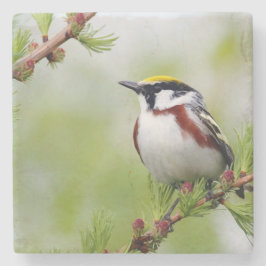 Bird yellow _coaster steinuntersetzer