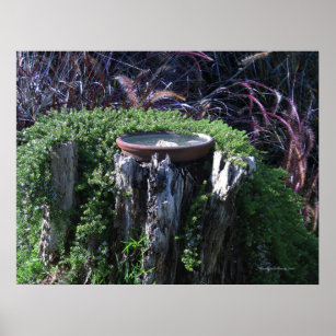 Lustige Pflanzen Kunst Poster Zazzle At