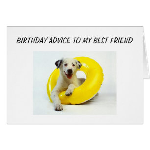 BIRDERTAGSTELLUNG BEST FREUND