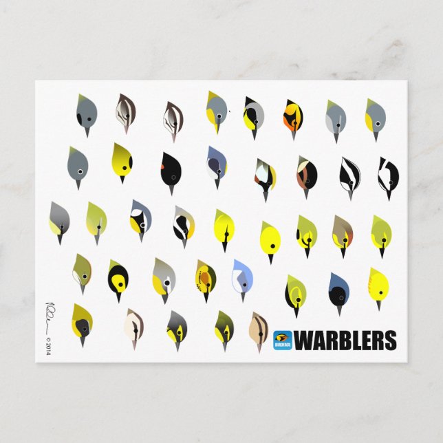 BirdFace Warbler Postcard Postkarte (Vorderseite)